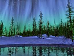 Wallpaper Desk Northern Lights Wallpaper Wallpaper Desk Northern Lights Wallpaper Night Forest Northern Lights