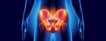 We are the experts in treating anything related to the pelvis including pelvic floor dysfunction, functional dry needling, and so much more. Pelvic Floor Physical Therapy Cynergy Physical Therapy Nyc