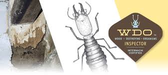 How do religious beliefs and lifestyle choices affect the population? Pest Wood Destroying Organisms Inspection For Va Conventional Or Fha Financed Properties Homespec