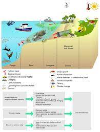 Conceptual Model Of Typical Pressures And Impacts On Coastal And Marine Environments Pressures Include H Coastal Ecosystems Conceptual Model Ecosystem Project