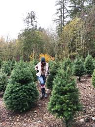 Download Seattle Christmas Markets All The Holiday Craft Shows Fairs 2020 PSD Mockup Templates