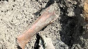 Katharina Amalia OnlyFans porn - adorable and young