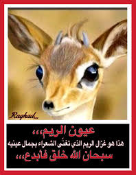 desertrose سبحان الله خلق فأبدع سبحان الله الخل اق العظيم