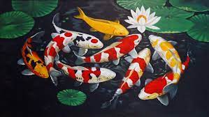 We hope you enjoy our growing collection of hd images to use as a background or home screen for your. Menggambar Ikan Koi Lukisan Ikan Koi