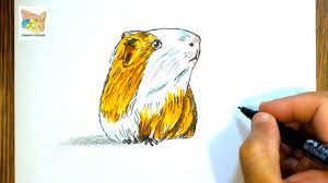 Comment dessiner un cochon d'inde facilement - YouTube