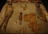 Estimadas amigas y amigos de momias chinchorro: 20 Ideas De Momias De Chinchorro Momias Chinchorro Museo De Historia Natural Historia Natural