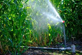 Daniel was knowledgable and great to work with, plus he. Why Do My Sprinklers Have Low Water Pressure Andy S Sprinkler