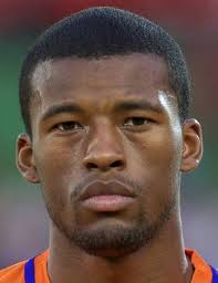 Discover everything you want to know about georginio wijnaldum: Georginio Wijnaldum Spielerprofil 20 21 Transfermarkt