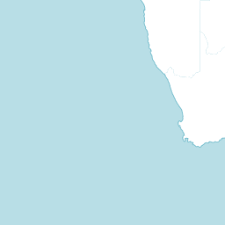 Image result for Mimulopsis arborescens