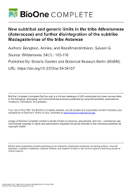 Image result for Blepharispermum pubescens