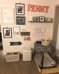 Another fantastic small bedroom storage idea on how to solve space problems is this! 24 Ideas For Designing Organizing A Dog Room Extra Space Storage