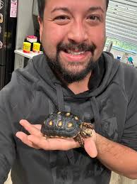 Redfoot Tortoise Owners