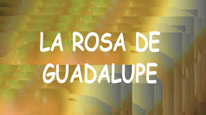 Descargue el archivo de música mp3 la rosa de guadalupea una calidad de audio de 320 kbps. Aire De La Rosa De Guadalupe For Android Apk Download