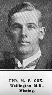 100 NZ World War One Memorials 1914-2014: Cox Brothers