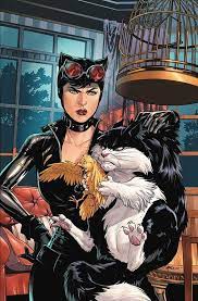 katzenfrauen batman posteri batman cizgi roman sanati
