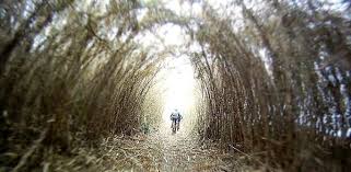 Van gaalen cheese farm has a farm shop, mtb & hiking trails, restaurant, picnics and tours. Morning Hike Van Gaalen Cheese Farm Meetup