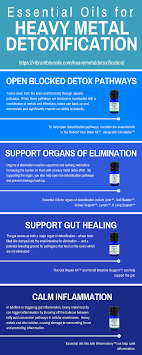 Heavy Metal Detoxification Detoxification Heavy Metal Detox Detox Methods