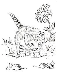 Solid Information If You Would Like To Really Understand Cats To View Further For This Article Visit Cat Coloring Book Kittens Coloring Puppy Coloring Pages