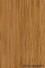 Image result for Gilbertiodendron dewevrei