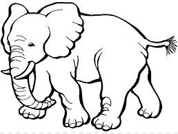 Maybe you would like to learn more about one of these? Buku Mewarnai Gajah Anak Gambar Png