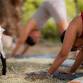 Goat Yoga by Niky Ivette event image