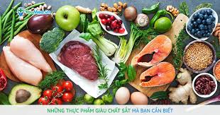 Là thực phẩm làm cho hệ tiêu hóa có thể hoạt động từ từ, hấp thụ chậm rãi, lượng đường trong máu được sản xuất ổn định và insulin được sản sinh ở mức bình thường, rất tốt trong việc giảm tích mỡ, giảm cân và cải thiện sức khỏe. Nhá»¯ng Thá»±c Pháº©m Giau Cháº¥t Sáº¯t Ma Báº¡n Cáº§n Biáº¿t Youmed