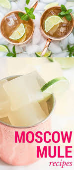 Cocktail Craze 10 Most Shared Moscow Mule Recipes Etoh