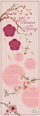 Blossom In Spring Plum Blossom Meaning Flower Meanings Blossom