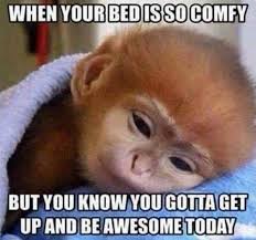 80 Funny Thursday Memes Images Pictures Photos Morning Quotes Funny Funny Good Morning Memes Funny Morning Memes