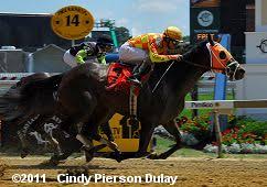 2011 Preakness Undercard Stakes Results
