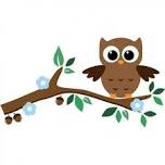 Owls of Pinchot