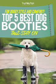 top 6 best dog booties for dogs that stay on 2019 update