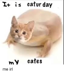 Catur may (meme) is on facebook. I Is Catur Day My Cates Irl Meme On Me Me