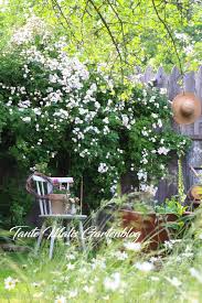 These landscape roots and our growing experience have given us valuable insight into the needs of today's gardeners. Pin Auf Gartentraume