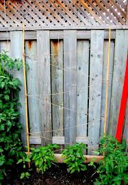 So take some of the pressure off your knees and back, and build that trellis. You Don T Need To Spend A Ton Of Money To Get A Great Quality Bean Trellis For Your Vegetable Garden All You Ne Bean Trellis Diy Bean Trellis Bean Trellis Diy