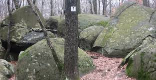 Maybe you would like to learn more about one of these? Sourland Mountain Nature Preserve New York New Jersey Trail Conference