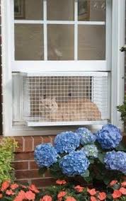 The Cat Veranda Balkon 2020 Kedi Agaclari Kedileri Seviyorum Evcil Hayvan Urunleri