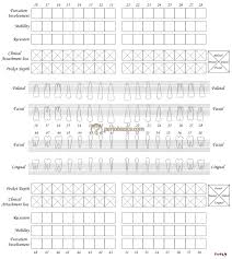 Perio Charting Sheet Periodontal Charting Form