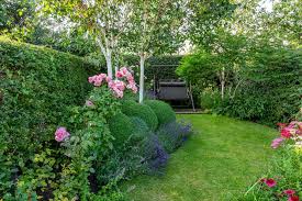 Evergreen means the plant retains its foliage throughout the year, but it's a bit of a misnomer because that foliage is not necessarily green. 17 Best Evergreen Shrubs Bbc Gardeners World Magazine