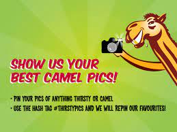 Visit thirsty camel's website to see our. Thirsty Camel Thirstycamel Profile Pinterest