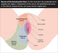 Groin is made of multiple ligaments muscles and tendons which fuse together in the pubic bone. Treatments For Groin Pain In Women Caring Medical Florida