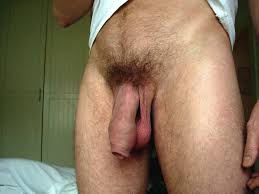 images?q=tbn:ANd9GcSdFKyJiHh2_AiyRQP152BGF3CLbchXlJJl-lu-uLC3LMmHV3Lt