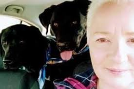 Fundraiser by Madison Bragg : Honoring the Life of Cassandra Gould