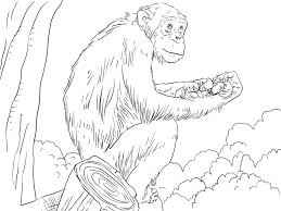 Free Coloring Pages For 2019 K5 Worksheets In 2020 Coloring Pages Free Coloring Pages Free Printable Coloring Pages