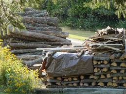 Favorite this post dec 12 oak firewood. Firewood As Fuel Msu Extension