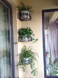 Flower Pot Stand Corner Holder Shelf Iron Wall Spider Pla Https Www Amazon Com Dp B01en4krqu Ref House Plants Decor Small Balcony Decor Plant Decor Indoor