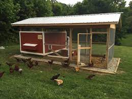 How to start a chicken coop. 6 Basics For Chicken Coop Design Backyard Poultry