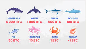 For many investors, bitcoin gains its value from being a limited supply currency. Crypto Memes Of The Week 26 March Crypto News Au