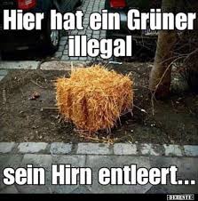 Der grüne pass soll reisen innerhalb der eu wieder ermöglichen. Hier Hat Ein Gruner Illegalsein Hirn Enleert Politischer Humor Dumme Lustige Bilder Witzige Bilder Spruche