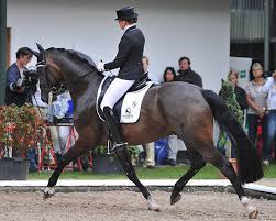 Dorothee schneider und showtime (v. Top Tip On Training Young Horses With Dorothee Schneider The Horse Magazine